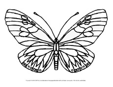 Ausmalbild-Schmetterling 5.pdf